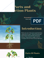 Parts and Function of Plant