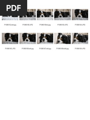 Contact Sheet