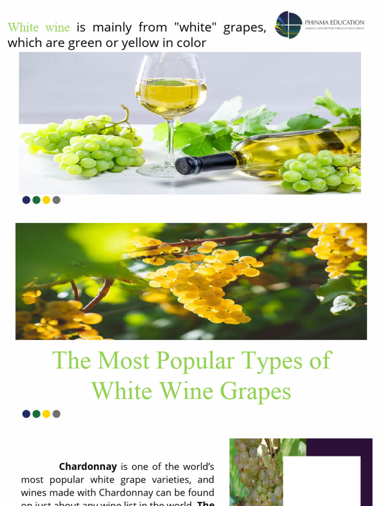 White Wine and Variety of Grape Used | PDF | Wine | Fermented Drinks