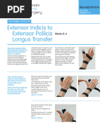 Hand FPL Repair PT Protocol | PDF | Thumb | Physical Therapy