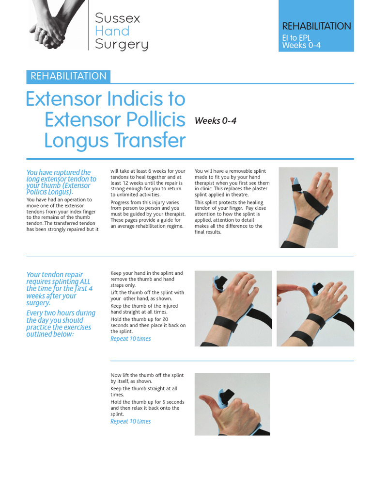 EI to EPL Transfer Rehab Protocol | PDF | Thumb | Hand
