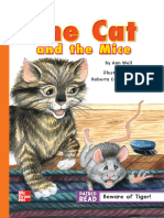 The Cat and The Mice