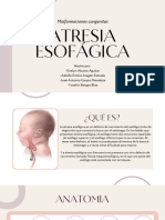 Atresia Esofagica - 20231107 - 232026 - 0000