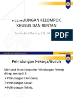 Pelindungan Kelompok Khusus Dan Rentan: Susilo Andi Darma, S.H., M.Hum