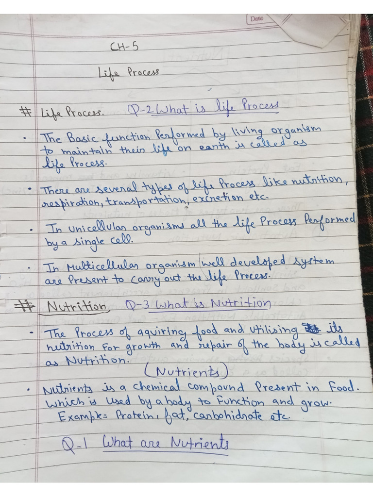 Class 10th Notes How do organism reproduce | PDF