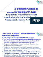 Oxidative Phosphorylation and Electron Transport Chain II Respiratory Complexes Structure and Organization Chemiosmotic Theory