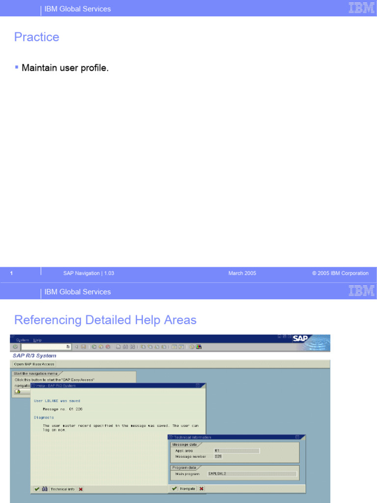 09 SAP Navigation PDF