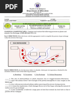 LAS Biology2 Gas-Exchange