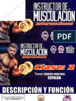 Clase 2 - Espalda - Instructor de Musculacion