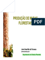 Silo - Tips - Produao de Mudas Florestais Jose Amarildo Da Fonseca