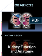 W11 RENAL CRITICAL CARE