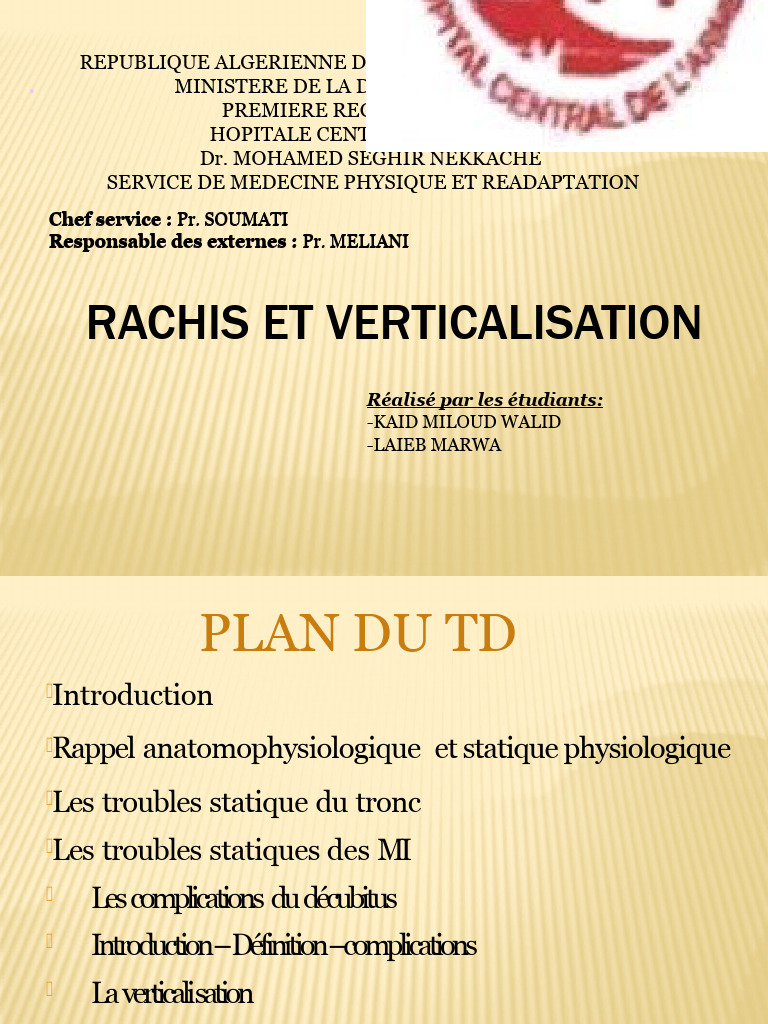 Rachis et Verticalisation: Concepts Clés | PDF | Colonne vertébrale ...