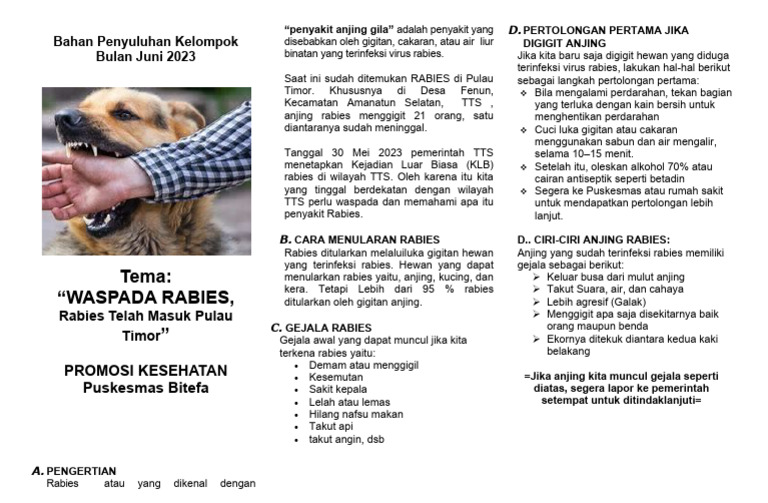 Waspada Rabies di Pulau Timor | PDF