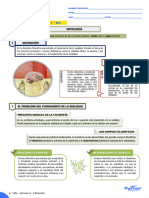 FA - 4.° Año - SEM 6 - FIL-PSI - II BIM