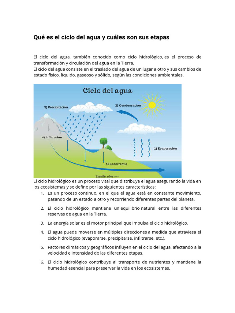 Qué Es El Ciclo Del Agua y Cuáles Son Sus Etapas | PDF | El ciclo del ...