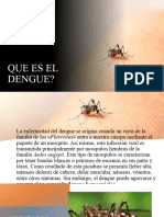 El Dengue