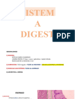 S.digestivo Resumen