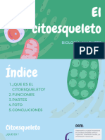 Presentacion Del Citoesqueleto - Cyt - Grupo 5