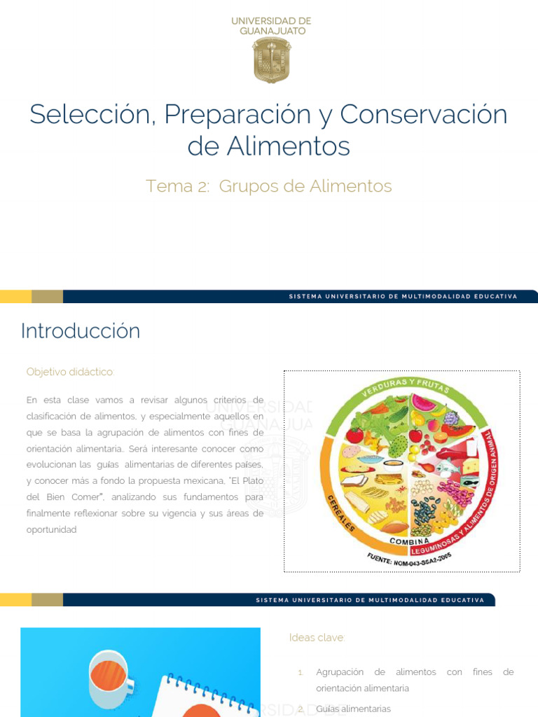 2 Grupos De Alimentos Pdf Legumbre Alimentos