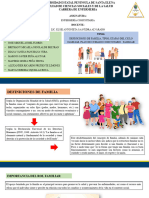 Grupo 4 DEFINICIONES DE FAMILIA, TIPOS, ETAPAS DEL CICLO FAMILIAR. PLAN DE CUIDADO COMUNITARIO - FAMILIAR