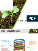 Photosynthesis