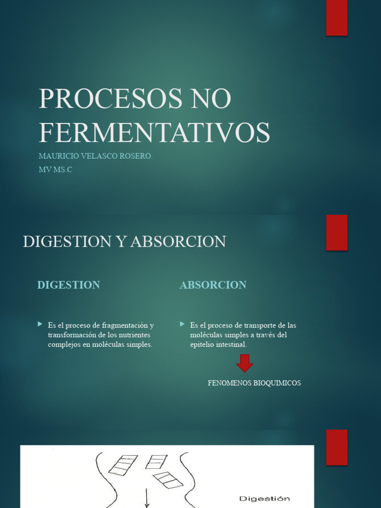 procesos-no-fermentativos-pdf-digesti-n-l-pido