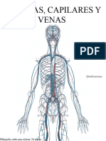 Arterias