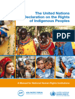 The United Nations Declaration On The Rights of Indigenous Peoples