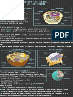 Caratteristiche Cellule Eucarioti