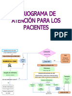 Flujograma de Atención para Los Pacientes