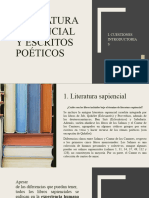 Cuestiones Introductorias, Literatura Sapiencial