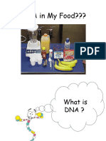 DNA in My Food???