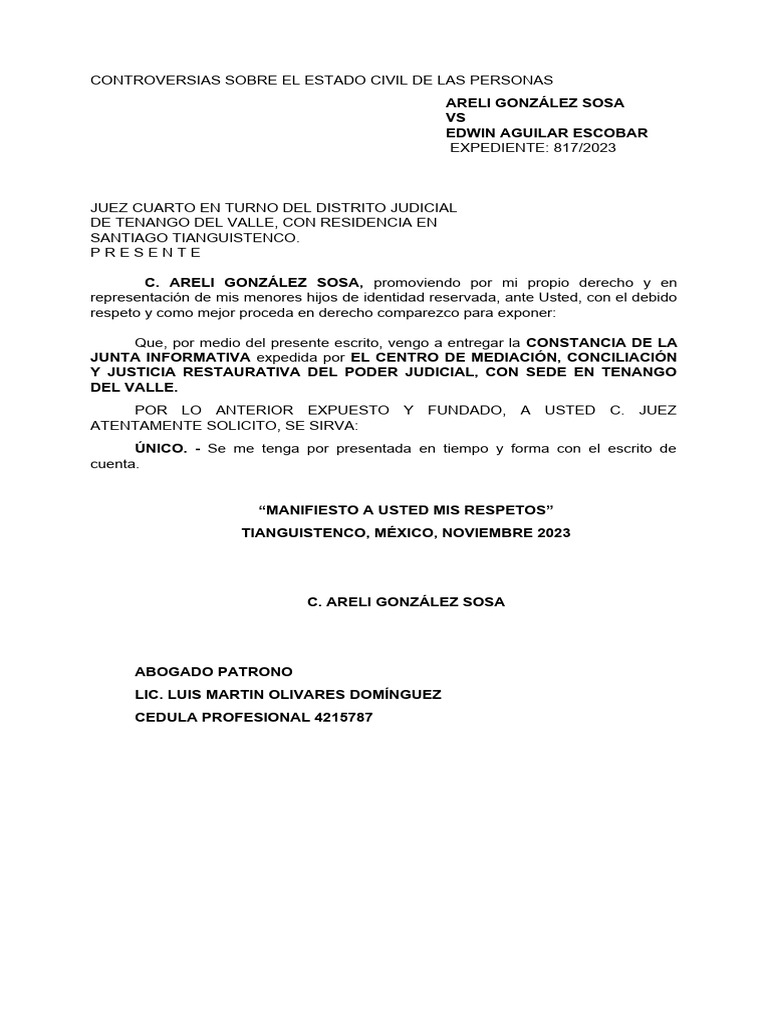 CONSTANCIA DE JUNTA INFORMATIVA | PDF