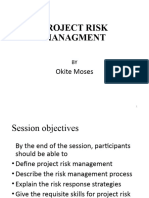 Project Risk Management (PPM)
