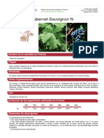 Abernet-Sauvignon N: Nombre de La Variedad en Francia