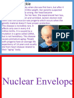 Organelle Card Sort