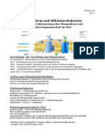 Handout Milchsäure