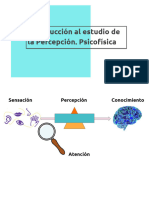 AyP1 - Introducción. Psicofísica