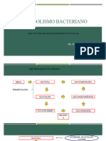 Clase 2 de Microbiología