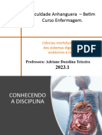 Sistema Digestório