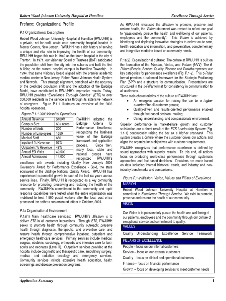 RWJ Hamilton Application Summary PDF Health Care Supply Chain
