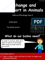 Topic 8 - Exchange and Transport in Animals Powerpoint