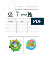 Quizz Practica Biologia 1 5D