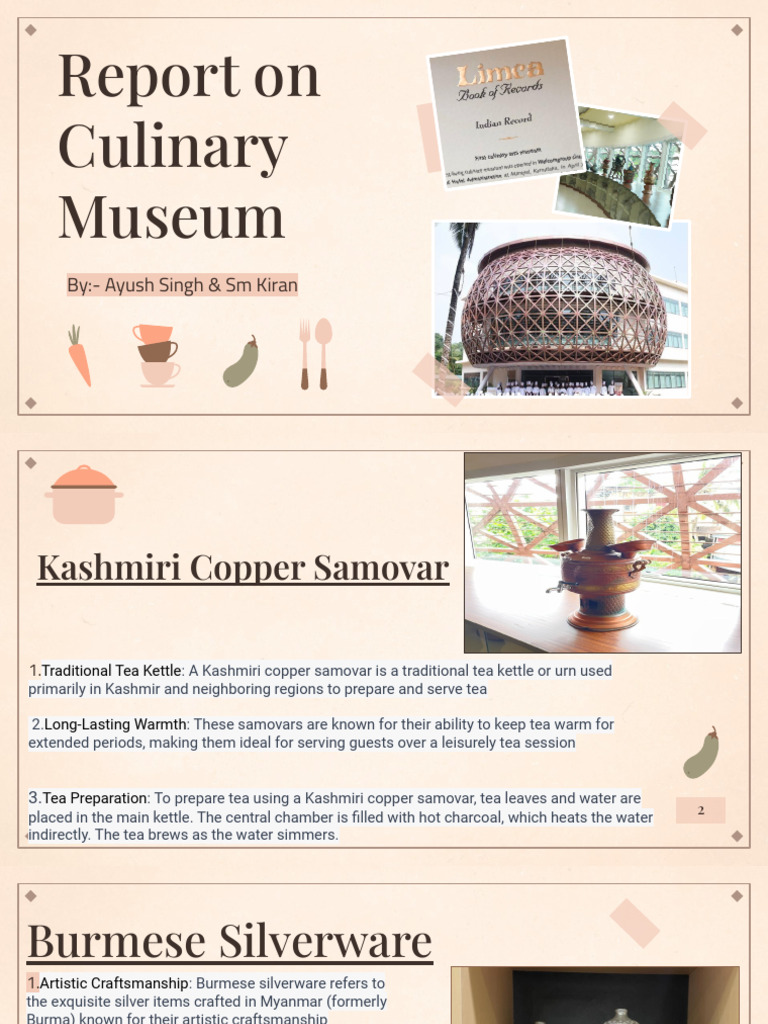 Ayush PPT On Visit | PDF