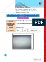 1 Formato para La Matriz de Información Relevante