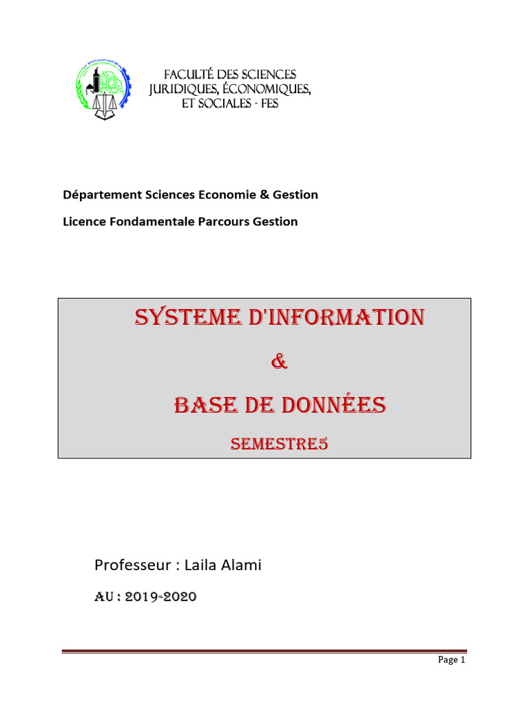Systèmes d'Information et Bases de Données | PDF | Affaires | Ordinateurs