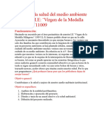 Cuidando La Salud Del Medio Ambiente y La de Mi I.E: Virgen de La Medalla Milagrosa 11009