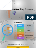 Género Streptococcus