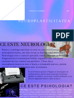 Neuroplasticitatea Final