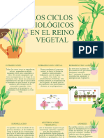 Presentación Plantas y Botánica Colorida Doodle Amarillo Crema